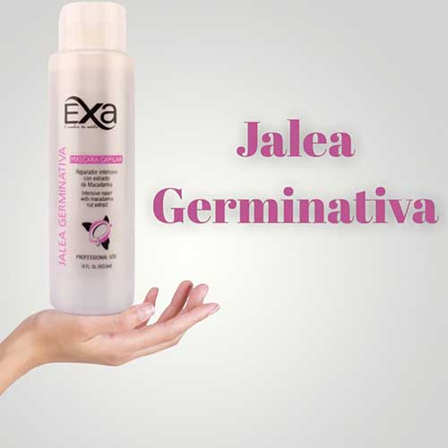 Jalea Germinativa EXA